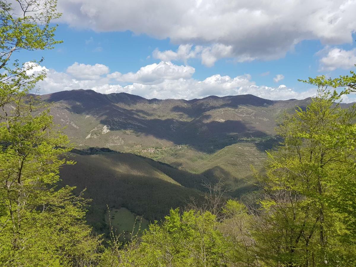Alla Battuta Sansepolcro Exteriér fotografie