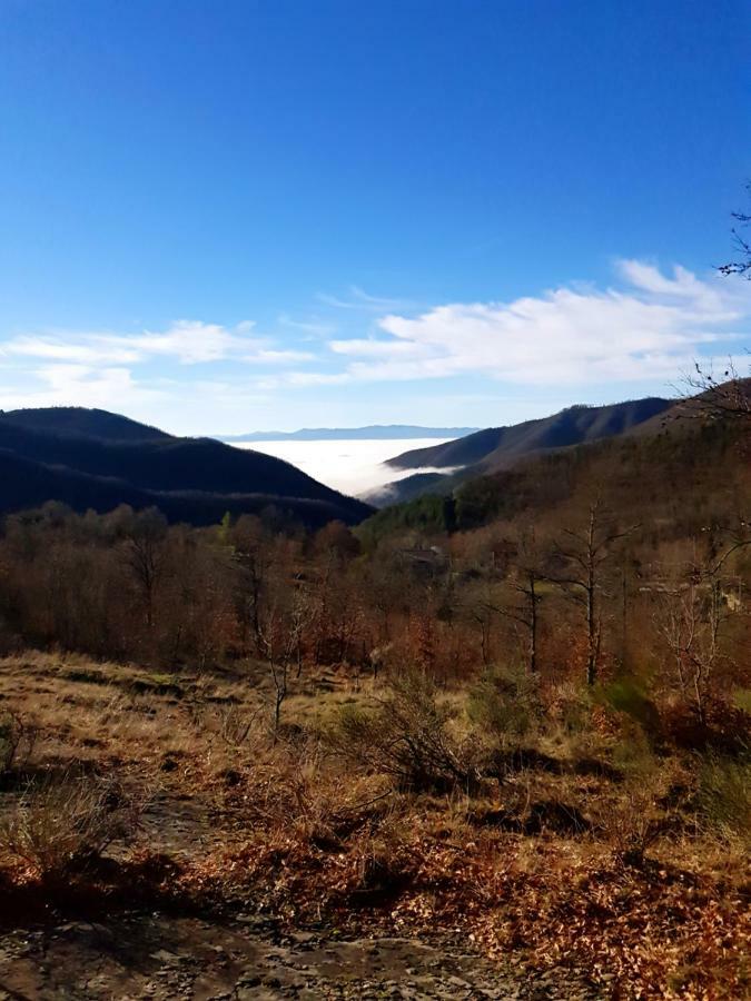 Alla Battuta Sansepolcro Exteriér fotografie
